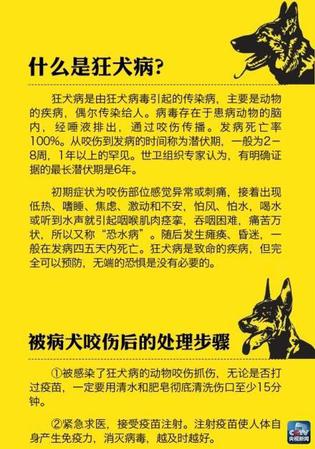 北京已报告7例狂犬病患者6人死亡