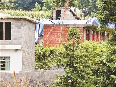 W020150807240280989111 W020150807240280989111