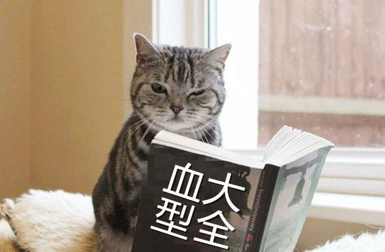 201508061718129c3c7_550 201508061718129c3c7_550