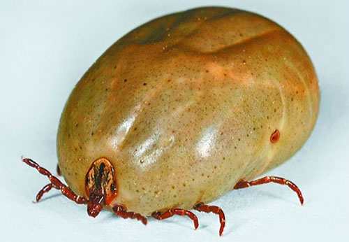 2015080617362557aa0 2015080617362557aa0