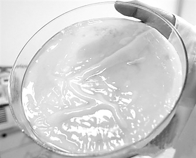 128111233_14391707543321n 128111233_14391707543321n