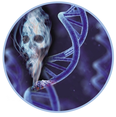 128114405_14392487961221n 128114405_14392487961221n