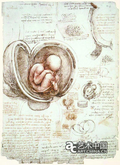 《解剖学示意图》(Anatomist drawings) 《解剖学示意图》(Anatomist drawings)