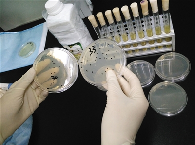 9Icg-fxftkps4018964 9Icg-fxftkps4018964