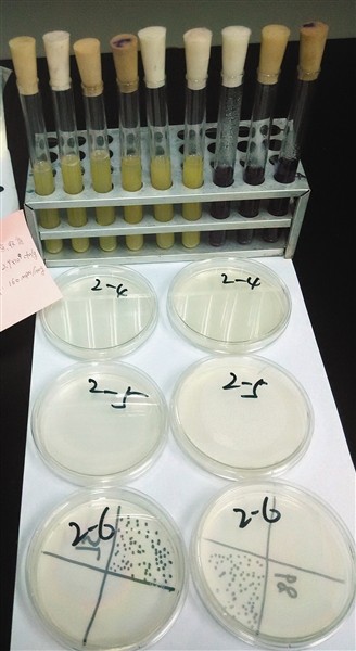 LjjT-fxftvni8919802 LjjT-fxftvni8919802