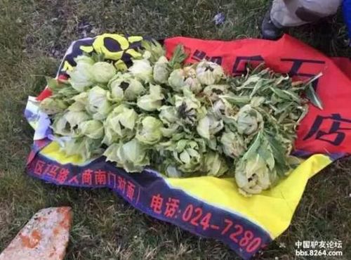 B54F9B60B7753629BAE605C5BC5B724F B54F9B60B7753629BAE605C5BC5B724F