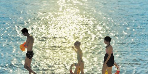 15387191314460096444 15387191314460096444