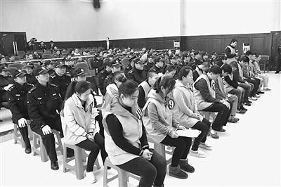 2528171786 2528171786