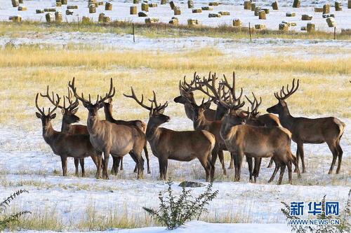 W020150817286672097812 W020150817286672097812