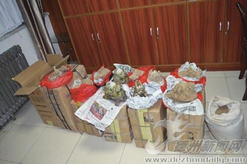 17116798276028731893 17116798276028731893