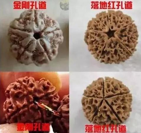 10388489865918383675 10388489865918383675