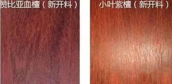 3164616509633832648 3164616509633832648