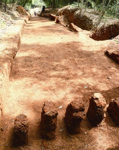 6942651_157601 6942651_157601