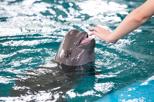 20150820130010bf990_550 20150820130010bf990_550