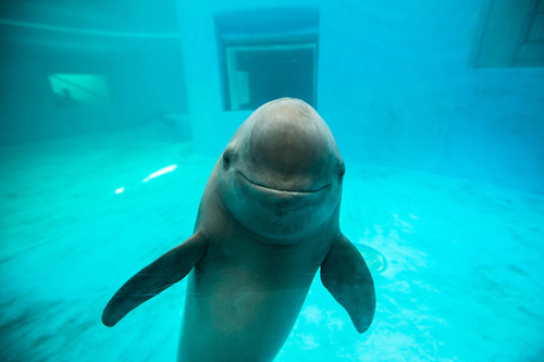 2015082013000849af0_550 2015082013000849af0_550