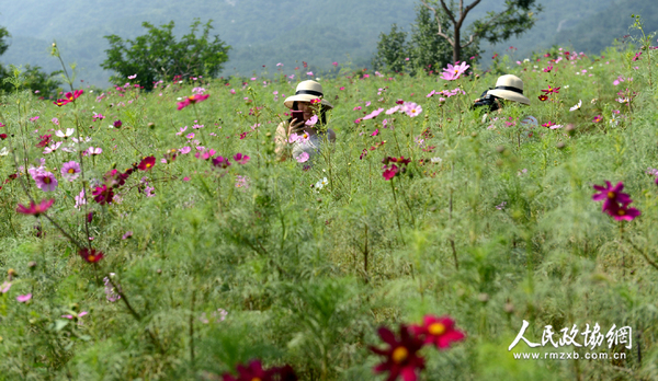 DSC_1992 拷贝 DSC_1992 拷贝