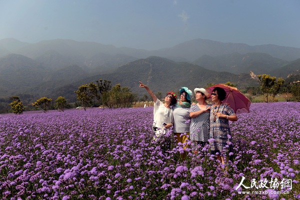 DSC_1999 拷贝 DSC_1999 拷贝