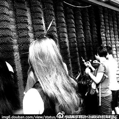 2713732046 2713732046