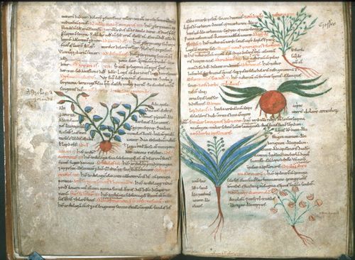 20120522081429a6314 20120522081429a6314