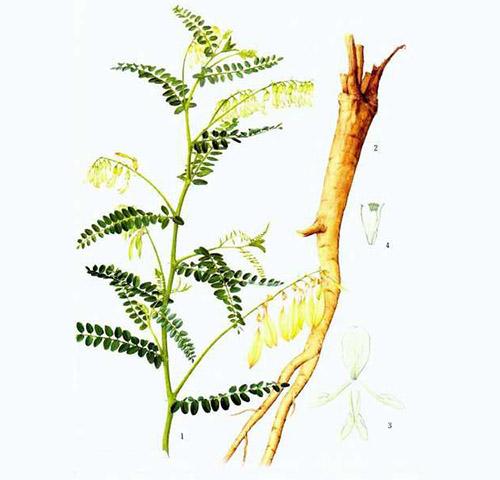 q43H-fxhcvry0967614 q43H-fxhcvry0967614