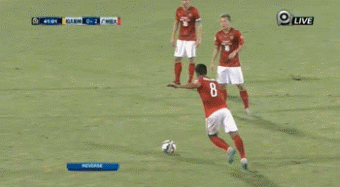 “暴力鸟”名不虚传 “暴力鸟”名不虚传