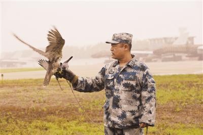 1841817293 1841817293