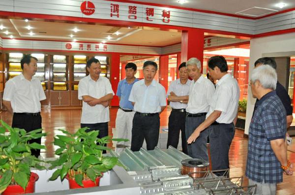 湖北省政协开展“大别山革命老区振兴发展”调研1。