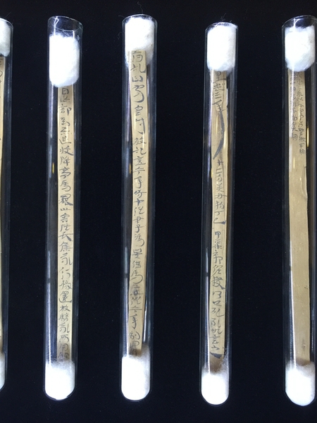 IMG_5954_副本 IMG_5954_副本