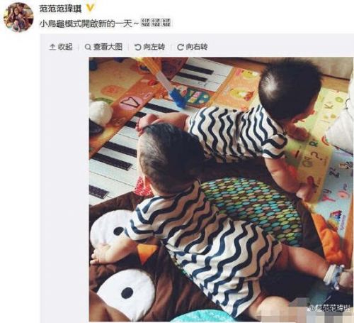 范玮琪 晒娃 范玮琪 晒娃