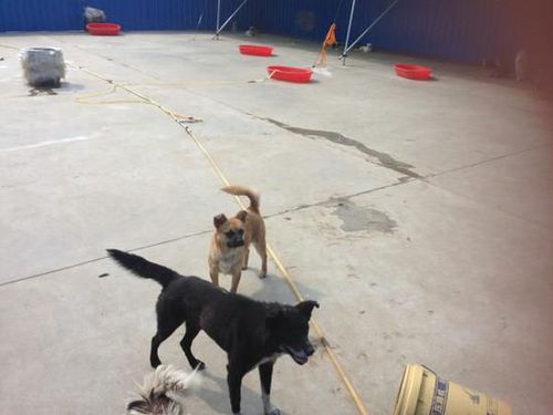 176F087BBD2121F9328BA74E08223A16 176F087BBD2121F9328BA74E08223A16