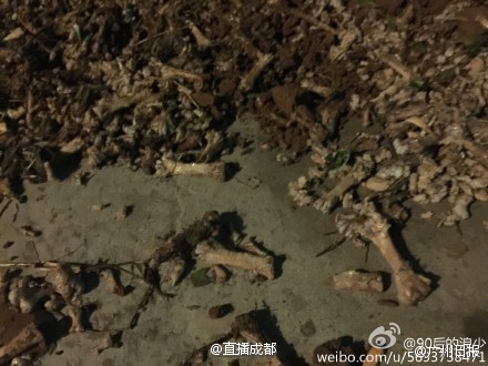 20150907074417b47c4 20150907074417b47c4