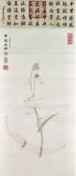 菡萏荷藕图  菡萏荷藕图