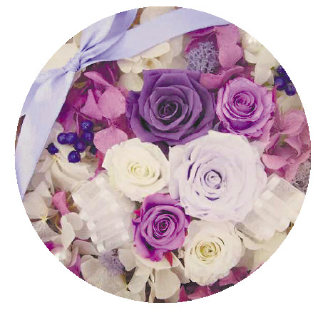 永生花 图片来源:广州日报 永生花 图片来源:广州日报