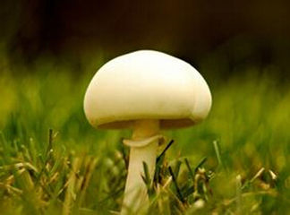 癌症有8面免死金牌 癌症有8面免死金牌