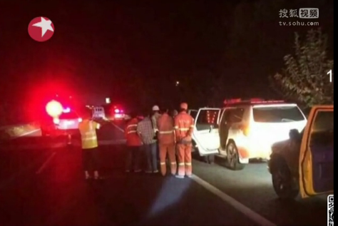 狮子跑上高速被击毙