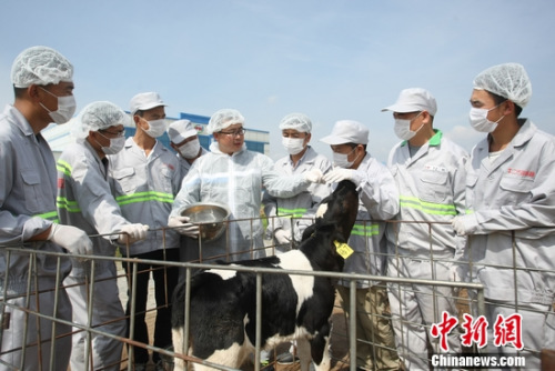 伊利 农场 伊利 农场