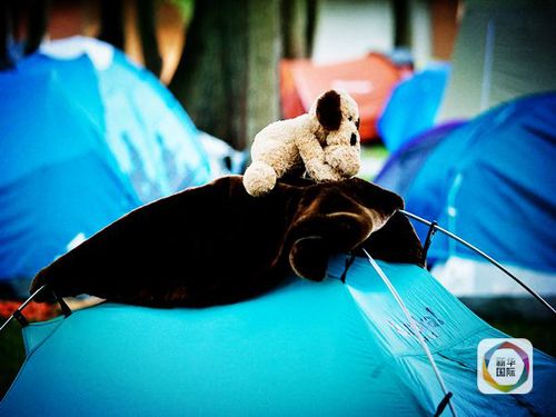 128216399_14418698163271n 128216399_14418698163271n