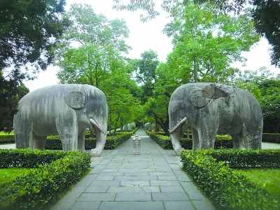 明孝陵神道石象遭涂鸦 明孝陵神道石象遭涂鸦