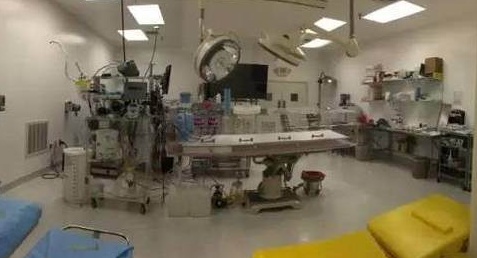 女作家冷冻遗体 女作家冷冻遗体