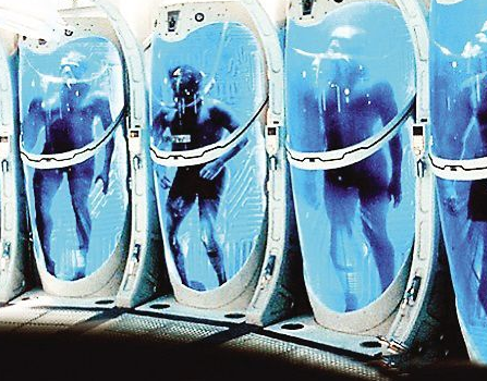 女作家冷冻遗体 女作家冷冻遗体