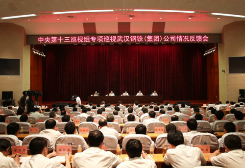 中央第十三巡视组向武汉钢铁(集团)公司反馈巡视情况 中央第十三巡视组向武汉钢铁(集团)公司反馈巡视情况