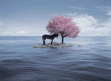 盘点艺术圈里热衷书画的人