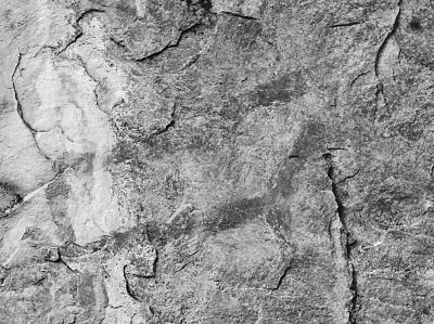 岩画野牛  岩画野牛