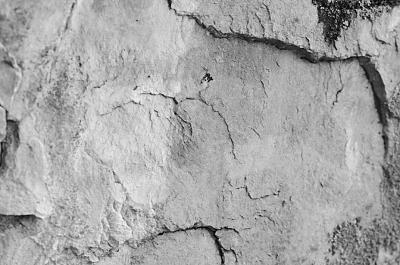 岩画猛犸象 赵评春摄  岩画猛犸象 赵评春摄