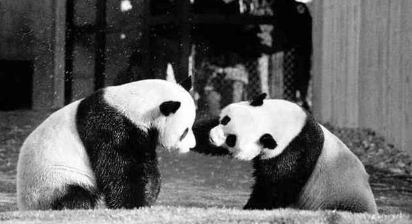 360截图20150919135221543