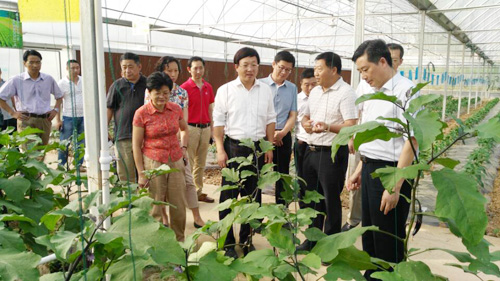 重庆市政协农业委到万州区开展专题调研 重庆市政协农业委到万州区开展专题调研