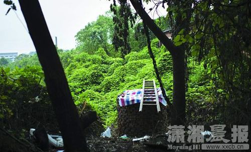 669D77CA2204DD09A574EA67E4B2A3A1 669D77CA2204DD09A574EA67E4B2A3A1