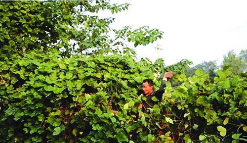 759A55FB8AC31A2A520BB0273886654F 759A55FB8AC31A2A520BB0273886654F