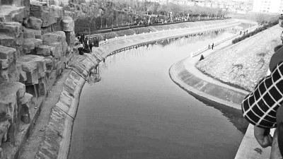 南阳社旗两起见义勇为待遇咋不同 呼吁统一标准2 南阳社旗两起见义勇为待遇咋不同 呼吁统一标准2