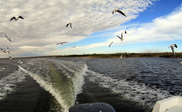 1024644_xxjpbec000729_20150928_tppfn1a001_600_450 1024644_xxjpbec000729_20150928_tppfn1a001_600_450